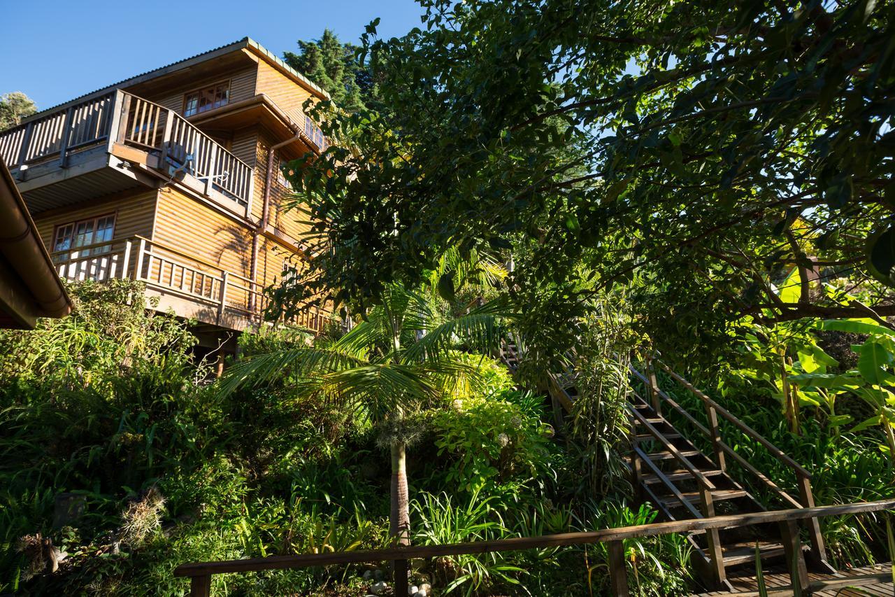 Big Tree House Lodge Knysna Exterior foto