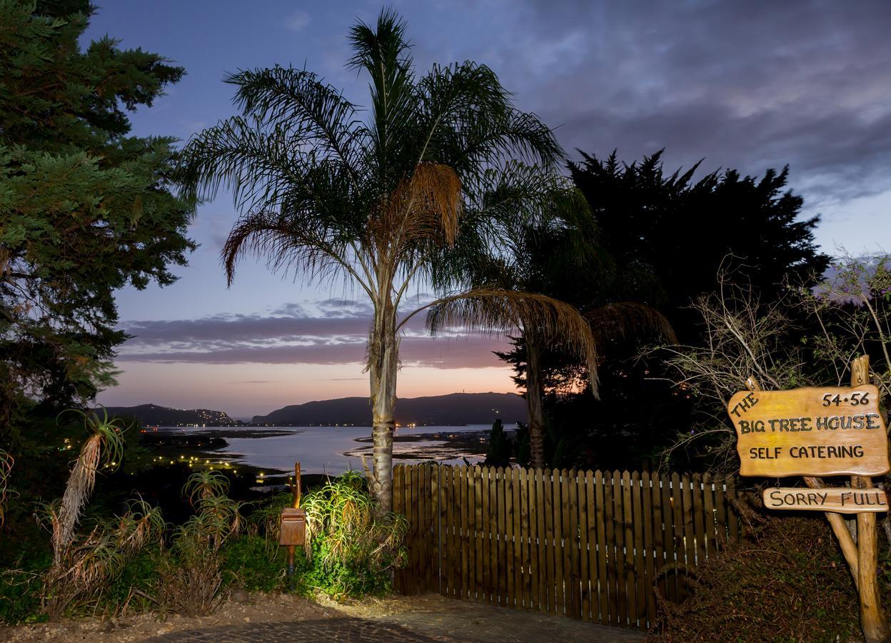 Big Tree House Lodge Knysna Exterior foto