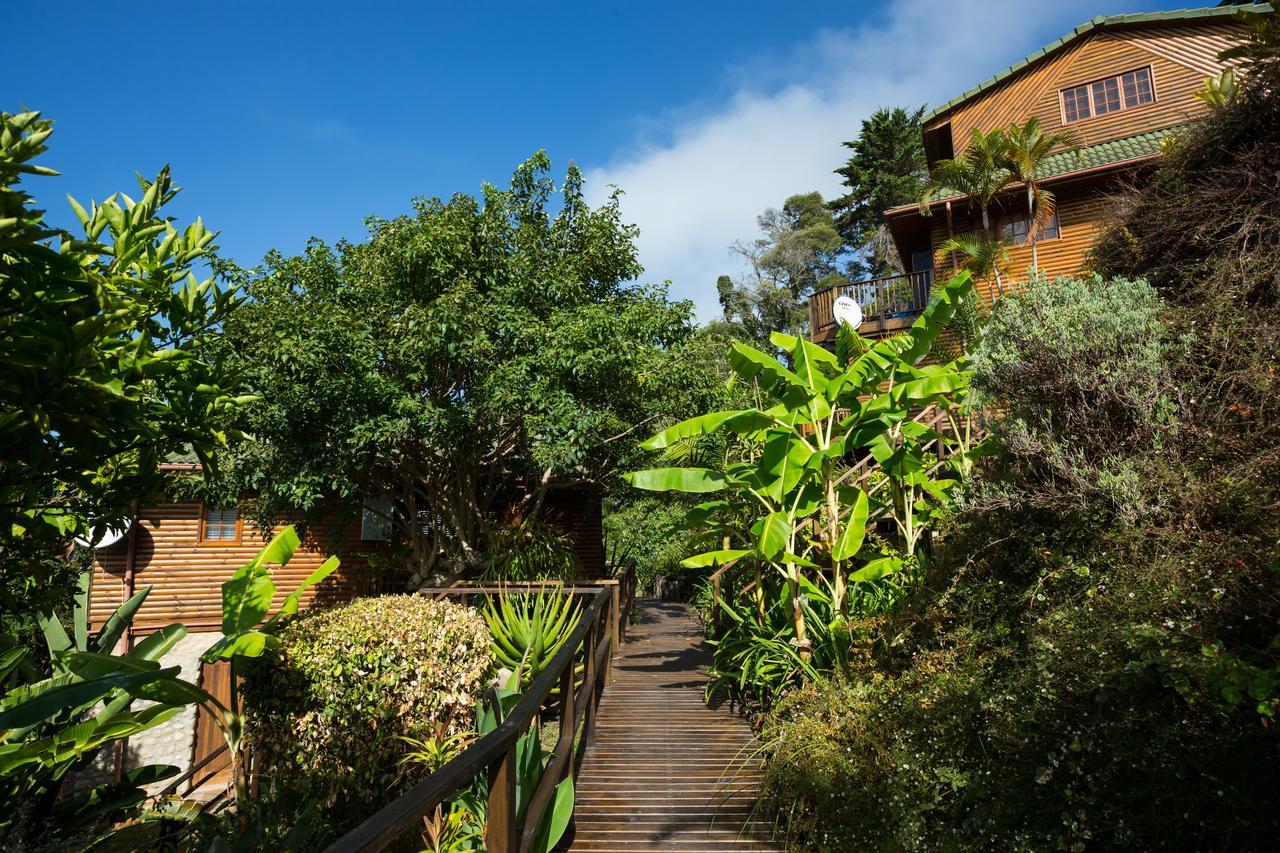 Big Tree House Lodge Knysna Exterior foto