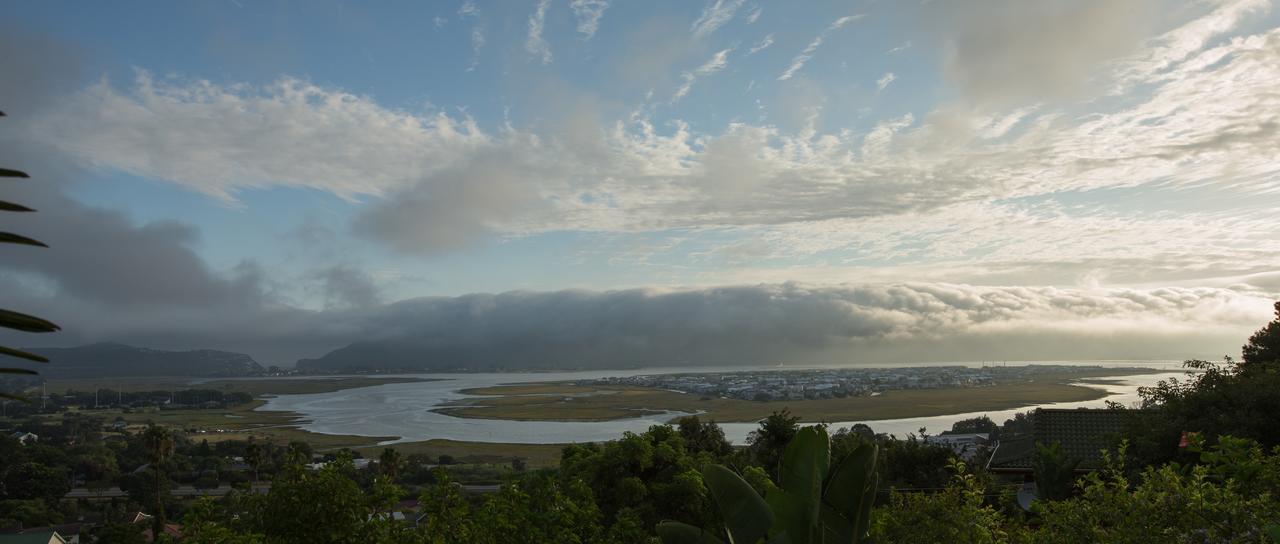 Big Tree House Lodge Knysna Exterior foto