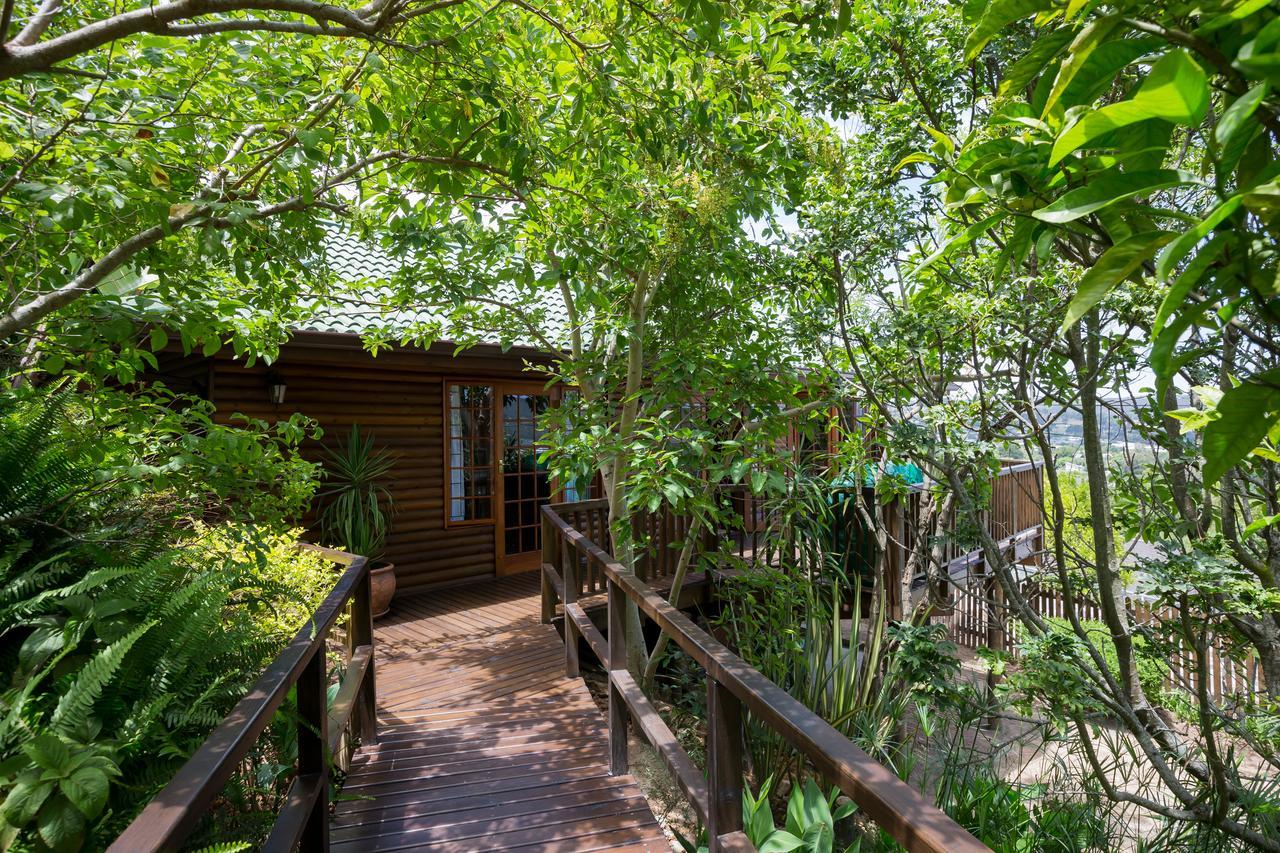 Big Tree House Lodge Knysna Exterior foto