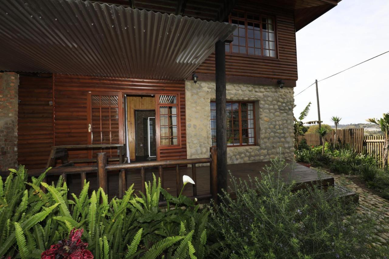 Big Tree House Lodge Knysna Exterior foto