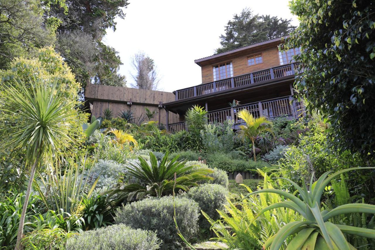 Big Tree House Lodge Knysna Exterior foto