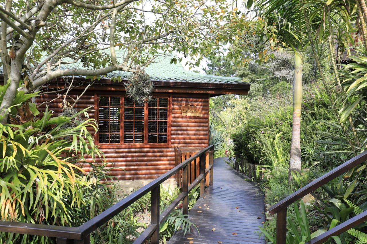 Big Tree House Lodge Knysna Exterior foto